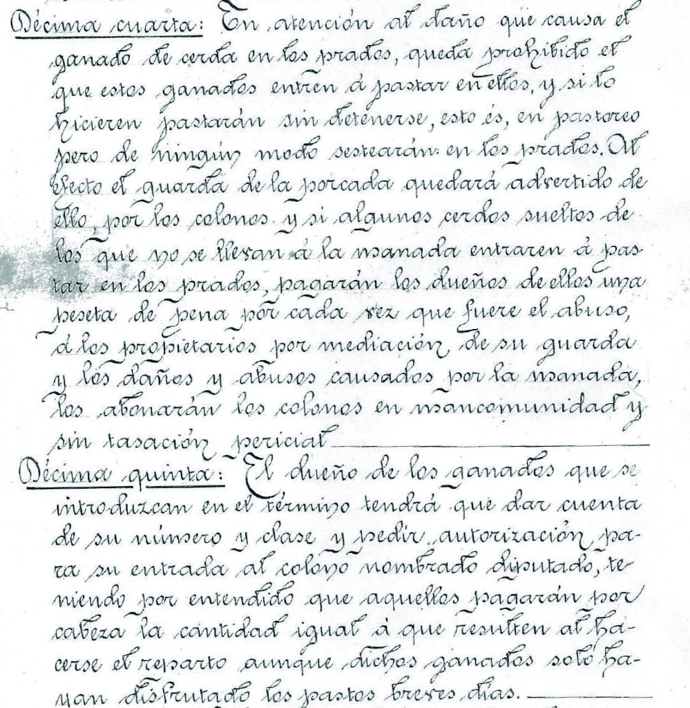 Contrato%20colonos-8%20clausula%2014%20y%2015.jpg